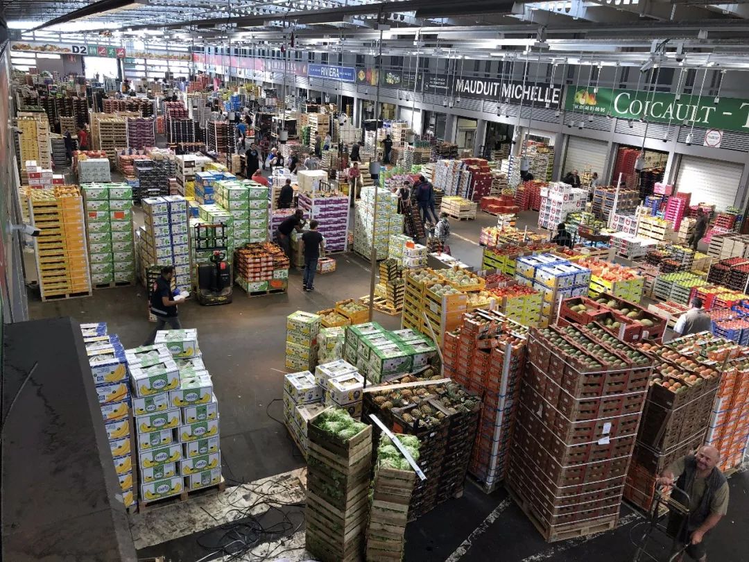 河北新發地集團董事長米亞林赴歐洲考察農產品市場發展新模式